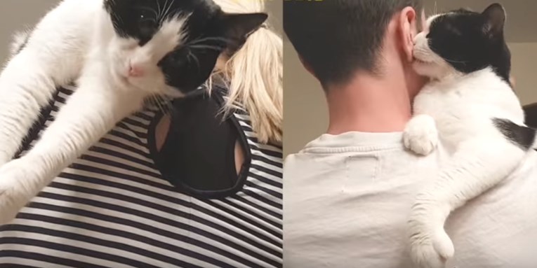 Muškarac i žena prikazali su različite načine na koje njihova maca iskazuje ljubav
