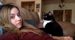 VIDEO Preslatka maca pristojno je zamolila svoju vlasnicu da je nastavi maziti