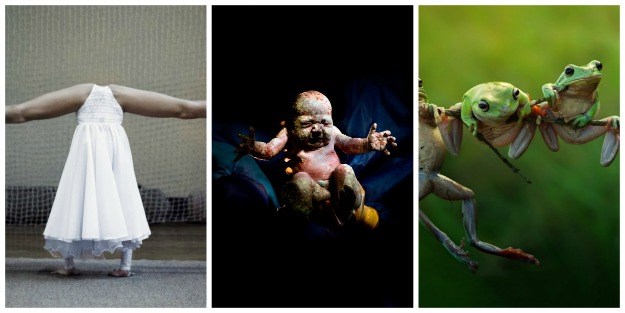 Najbolji od najboljih: Objavljeni kandidati koji su ušli u uži izbor za najbolju svjetsku fotografiju godine