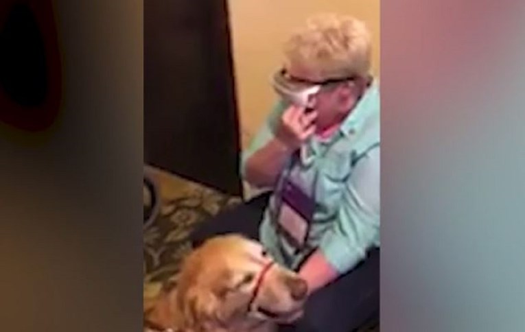 Slijepa žena pomoću posebnih naočala prvi put vidjela svog psa vodiča, plakala je kao kišna godina
