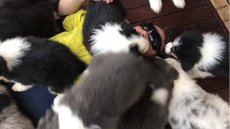 VIDEO Ovo je najslađi napad koji ste ikada vidjeli