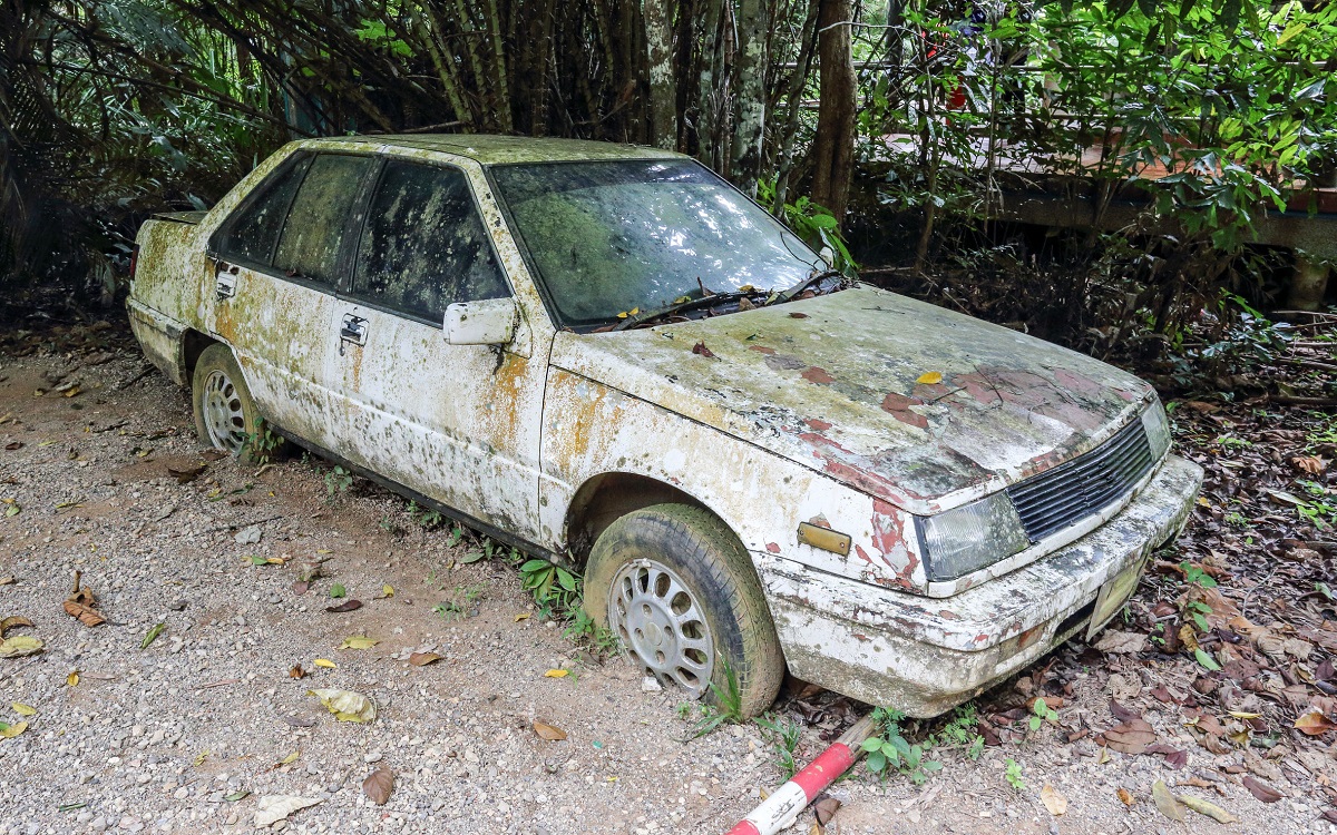 Bolesna žena iz Pule godinama živjela u starom autu s 20 pasa, smrzavala se gladna i žedna