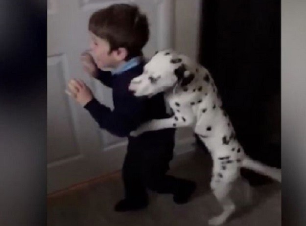 VIDEO Mi nismo sigurni:  Vidite li vi isto što i majka ovog dječaka?