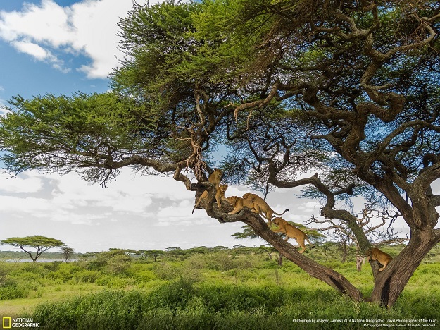FOTO Fascinantna galerija: Pogledajte fotografije koje su oduševile National Geographic