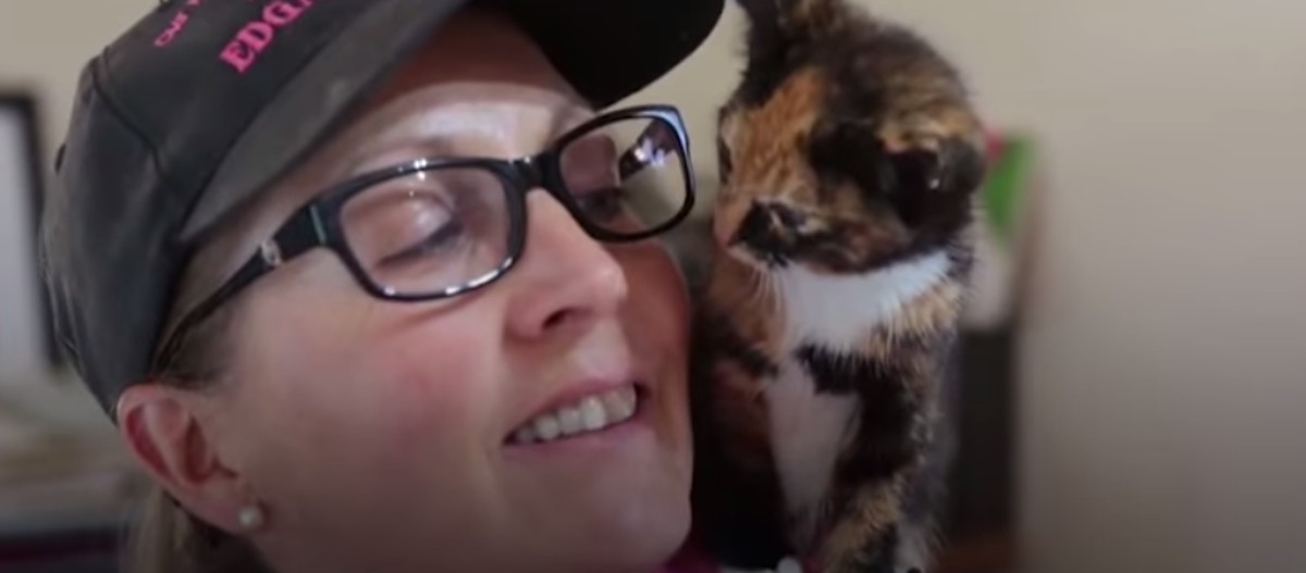 VIDEO Malena maca bila je zarobljena između garaža dva dana i sada je konačno spašena