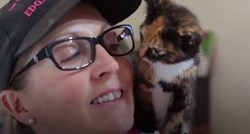 VIDEO Malena maca bila je zarobljena između garaža dva dana i sada je konačno spašena