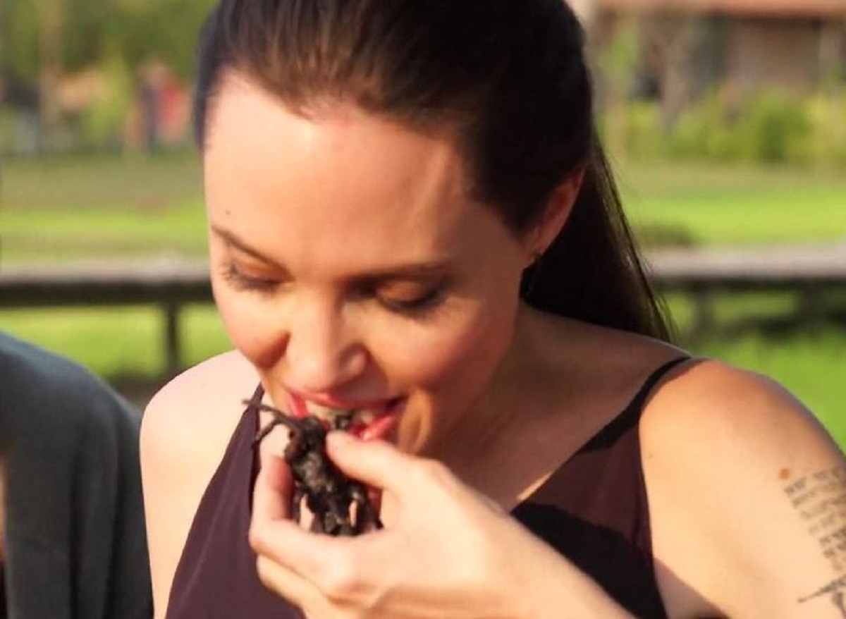 VIDEO Angelina Jolie navalila na paukove i škorpione, a priznala je i što zaista misli o Bradu Pittu