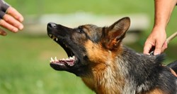 Čovjekov najbolji prijatelj: Pas specijalac teroristima pokazao zube!
