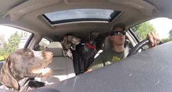 VIDEO Ovi su psi potpuno poludjeli kada su vidjeli gdje ih vlasnik vozi