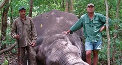 Lovca je ubio slon kojeg je pokušao upucati, a ovako je internet reagirao na njegovu smrt