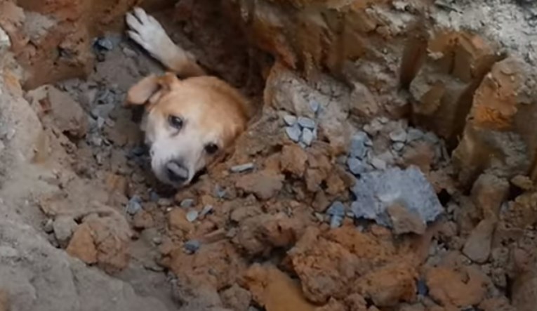 VIDEO Ovaj pas zaglavio se duboko ispod zemlje, no njegov vlasnik nije odustao od kopanja