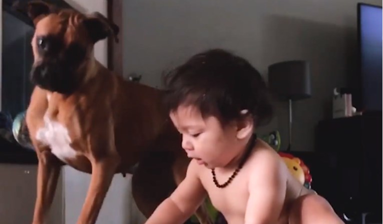 VIDEO Najslađi spoj na svijetu - Djeca i psi osvojit će vaša srca