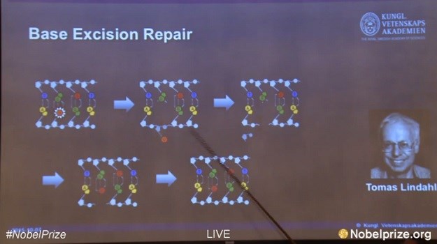 Nobelova nagrada za kemiju znanstvenicima koji su otkrili kako se obnavlja oštećeni DNK