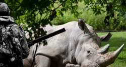UBILI SMO IH SVE Umro je zadnji mužjak sjevernog bijelog nosoroga na svijetu