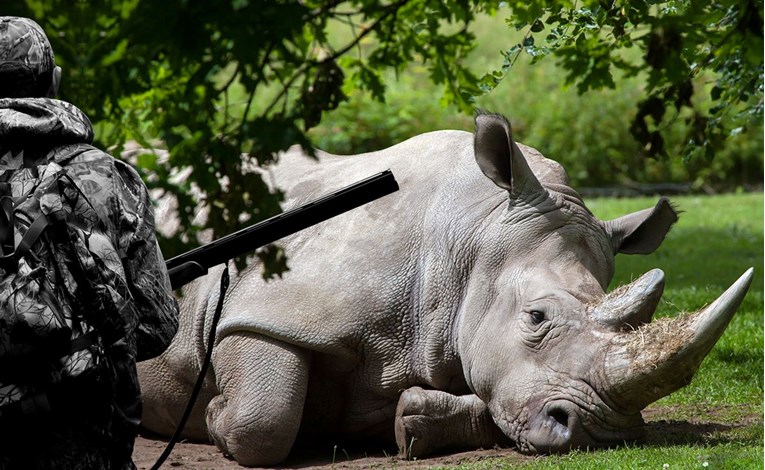 UBILI SMO IH SVE Umro je zadnji mužjak sjevernog bijelog nosoroga na svijetu