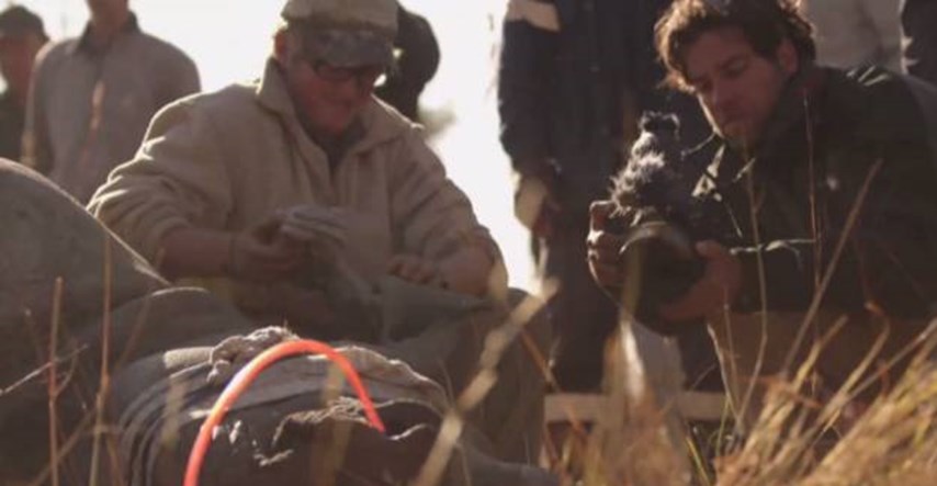 Neobična metoda: U borbi protiv lovokradica truju rogove nosoroga