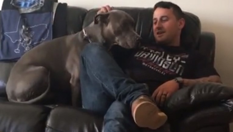 VIDEO Preslatki pas prati svog vlasnika u stopu i to izgleda presmiješno