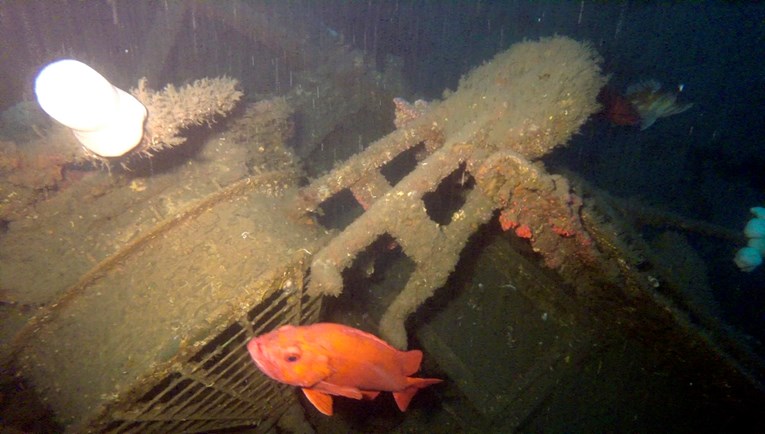 Otkriven potopljeni američki nosač zrakoplova iz Drugog svjetskog rata