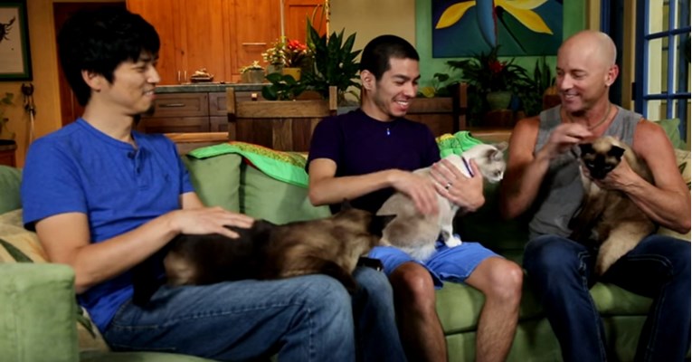 VIDEO Ova je obitelj udomila 15 mačaka, a kuća u kojoj žive izgleda nevjerojatno