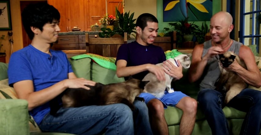 VIDEO Ova je obitelj udomila 15 mačaka, a kuća u kojoj žive izgleda nevjerojatno
