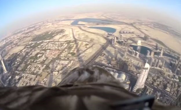 Spektakularna snimka orlova leta s najvišeg nebodera na svijetu