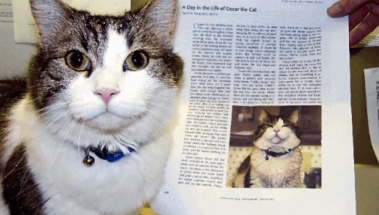 VIDEO Upoznajte Oscara, posebnog mačka koji može "namirisati smrt"