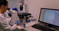 Senzacionalan uspjeh: Hrvatski znanstvenici otkrili lijek za zarastanje kostiju