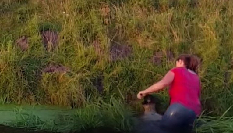VIDEO Ugledala je ovcu koja se utapala i istog je trena uskočila u vodu kako bi joj spasila život