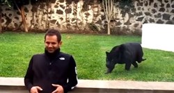 VIDEO Pogledajte što se dogodilo kad je ova crna pantera skočila na čovjeka