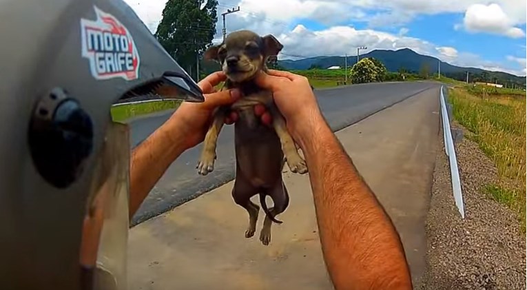 VIDEO koji vraća vjeru u ljude - Oni su pomogli životinjama kada nitko drugi nije htio
