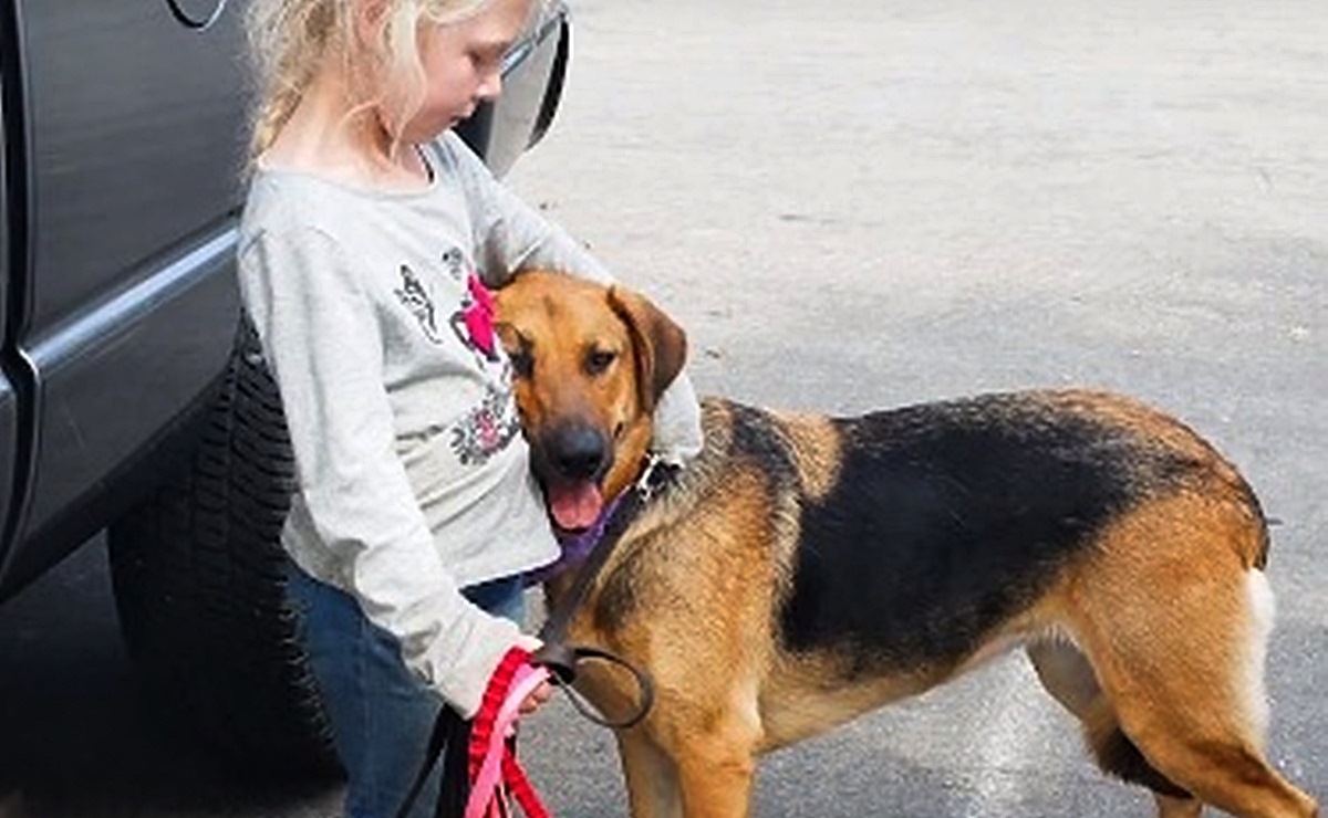 Pas lutalica mjesecima izbjegavao ljude, jedina osoba kojoj vjeruje je 6-godišnjakinja!