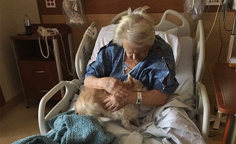 Bakinog psa je prokrijumčarila u bolnicu i uljepšala joj težak dan