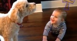 Oni se valjda razumiju: Bebe i psi možda govore istim jezikom