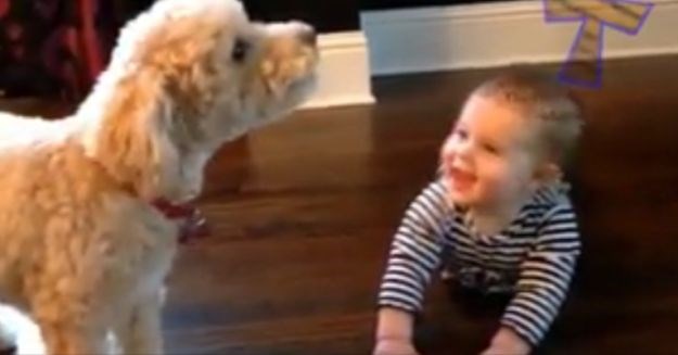Oni se valjda razumiju: Bebe i psi možda govore istim jezikom