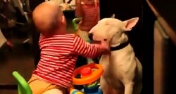Snimka reakcije psa na bebino udaranje uzrokovala je burne reakcije na internetu