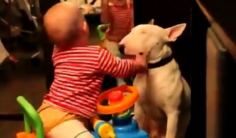 Snimka reakcije psa na bebino udaranje uzrokovala je burne reakcije na internetu