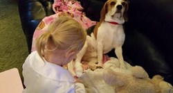 VIDEO Bravo za malu "veterinarku": Djevojčica pomogla ozlijeđenom psu!