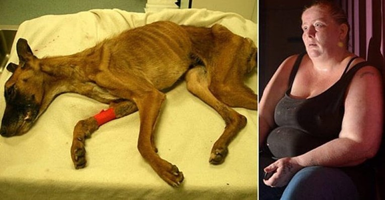 NESHVATLJIVA IZJAVA Vlasnica je rekla da "nije primijetila" da joj pas umire od gladi