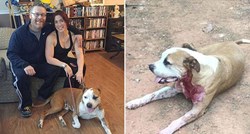 Pas ugledao muškarca koji je htio nožem napasti ženu pa riskirao vlastiti život kako bi je spasio
