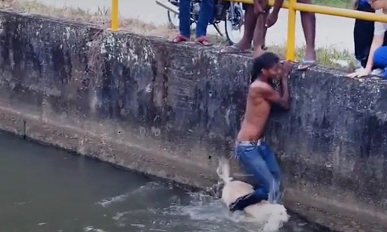 Bespomoćni pas utapao se u kanalu, a onda se pojavio heroj koji ga je spasio