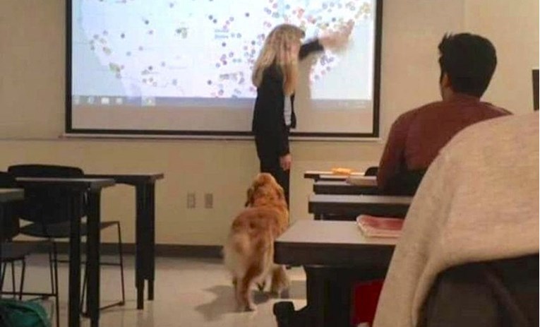 Student molio profesoricu da mu dopusti da svog psa povede na predavanje, na kraju je popustila!