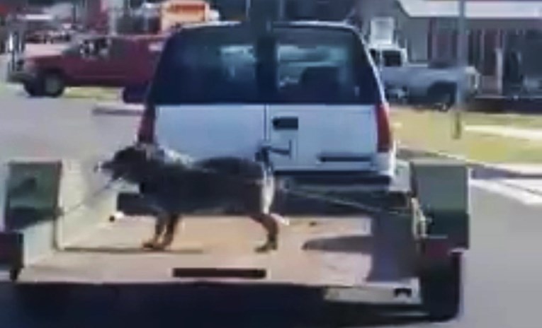 Nepoznata osoba svezala psa i vozila ga na otvorenoj prikolici, komentar policije zgrozio građane