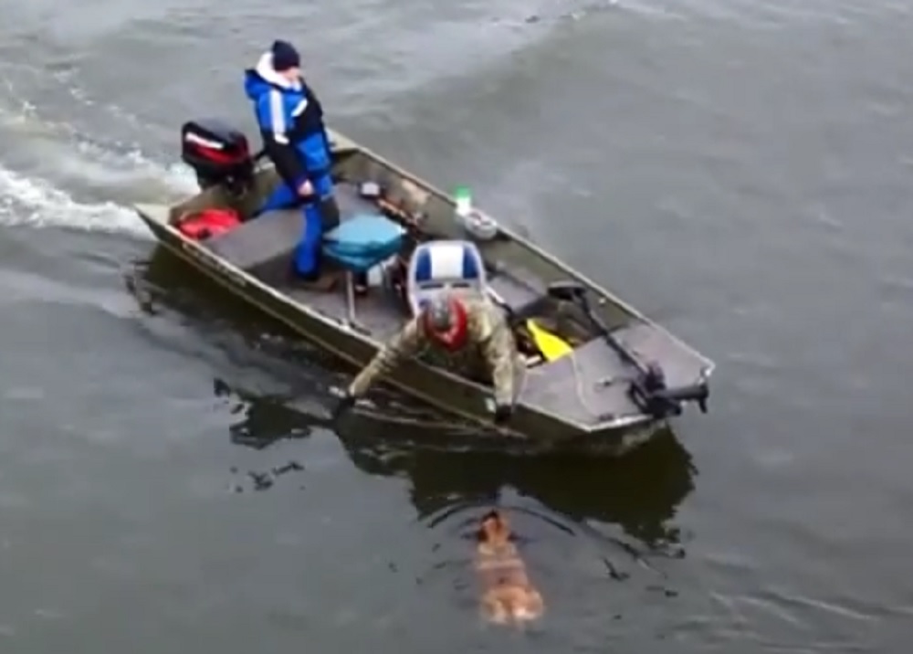 VIDEO U zadnji trenutak spasili psa od utapanja u hladnoj rijeci!