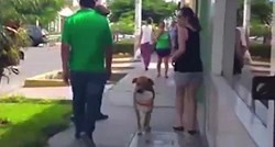 Žedni pas je s kantom u ustima hodao po ulici i molio za malo vode