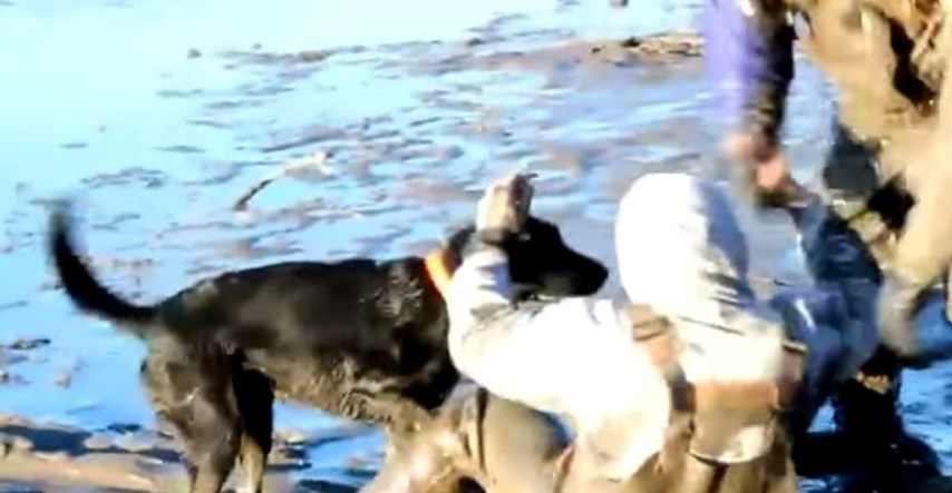 Pas spasio svog vlasnika iz blata: Zvao je pomoć, no njegov je ljubimac bio brži