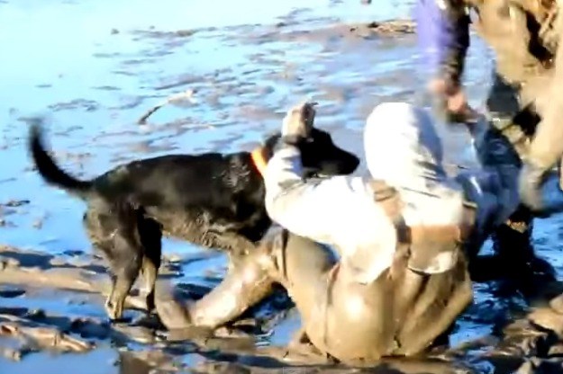 Pas spasio svog vlasnika iz blata: Zvao je pomoć, no njegov je ljubimac bio brži