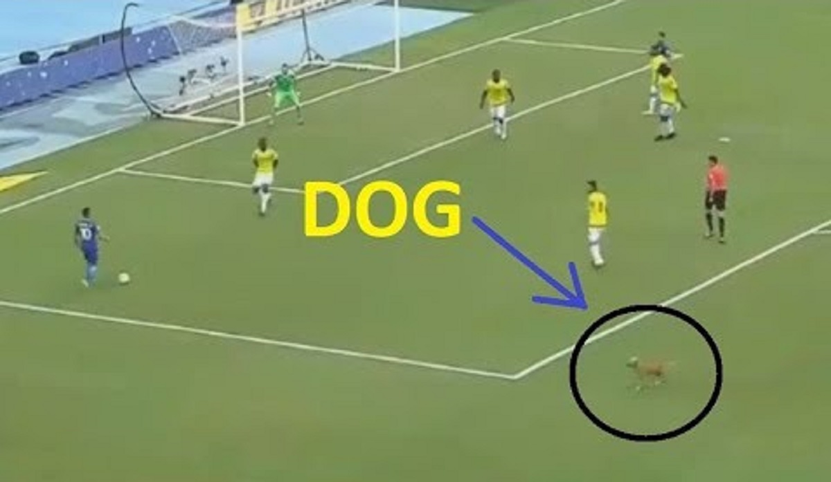 NEYMARU SE U NAPADU PRIDRUŽIO PAS Brazil dobio neočekivano pojačanje u derbiju kvalifikacija
