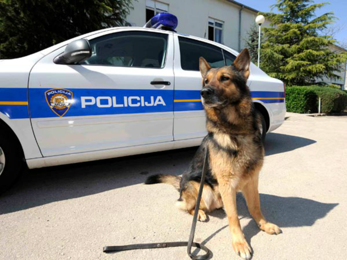 Policija kupuje pse preko oglasa