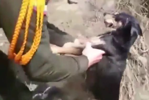 Policajci iz bujice izvukli psa i oživjeli ga umjetnim disanjem