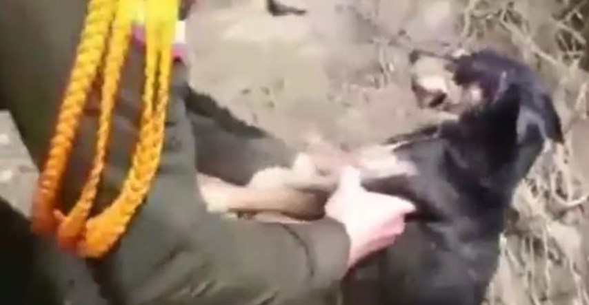 Policajci iz bujice izvukli psa i oživjeli ga umjetnim disanjem